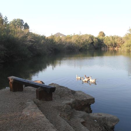 Oasis Country Park Hotel Rugat Exterior foto