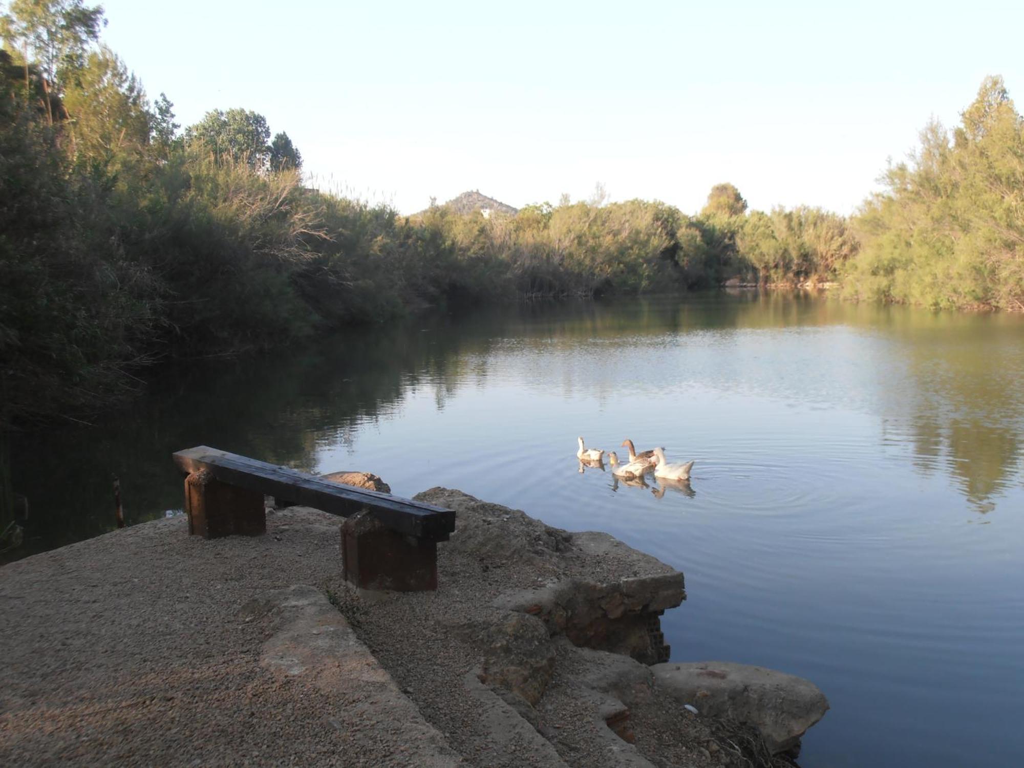 Oasis Country Park Hotel Rugat Exterior foto