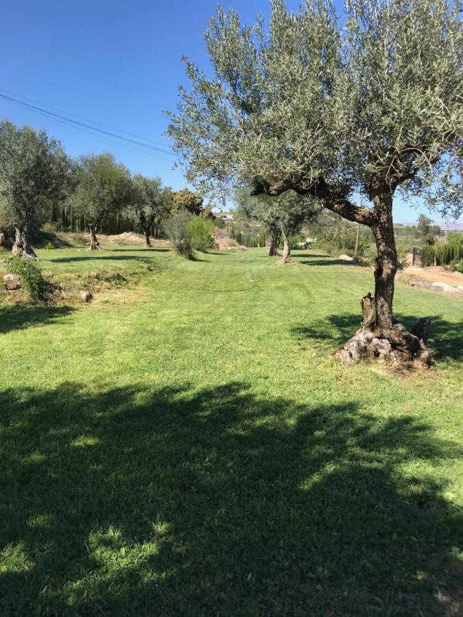 Oasis Country Park Hotel Rugat Exterior foto